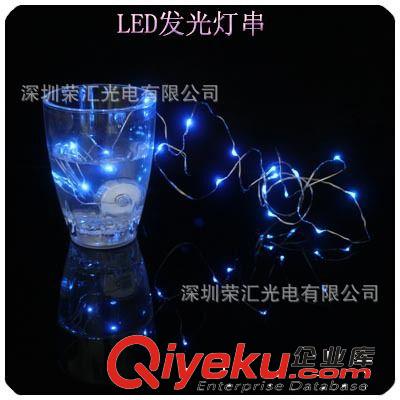 供應LED圣誕燈串 LED節(jié)日燈 LED電池盒燈串