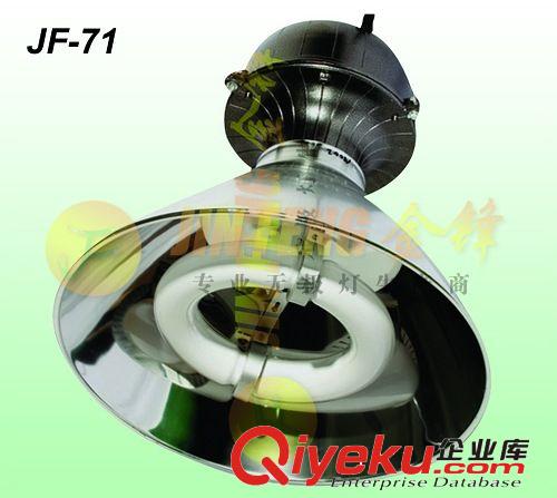 低頻 高頻 無極燈/工廠燈 廠家直銷