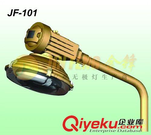 低頻無極燈 防爆燈 廠家直銷 質保5年原始圖片2