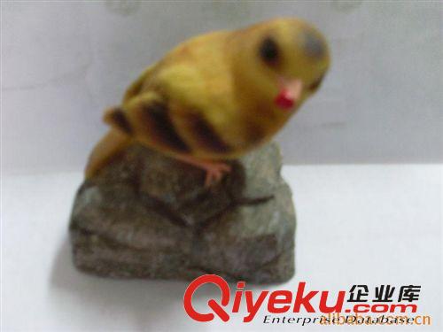 供應聲控鳥原始圖片2