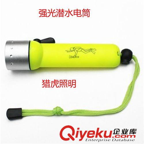 進口CREE led強光頭燈 戶外專業(yè)潛水頭燈 可充電led頭燈批發(fā)