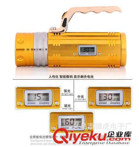 獵虎新款 充電強光 釣魚燈 10W夜釣燈 藍 白 黃 三光源 混批原始圖片2