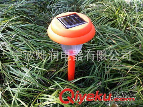 供應樹脂太陽能燈,憤怒的小鳥太陽能燈