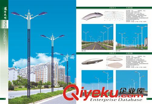 低價供應各種 led太陽能路燈燈桿生產廠家 道路照明燈250w 雙臂燈原始圖片2