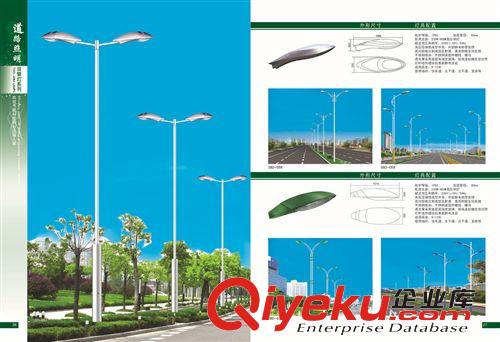 低價供應各種 led太陽能路燈燈桿生產廠家 道路照明燈250w 雙臂燈原始圖片3