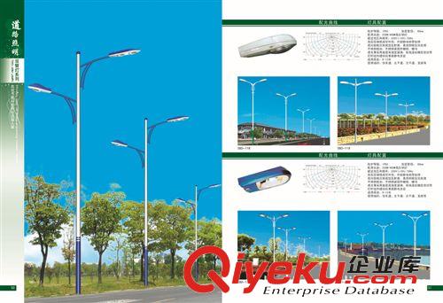 低價供應各種雙臂燈 led太陽能路燈燈桿生產廠家 道路照明燈250w