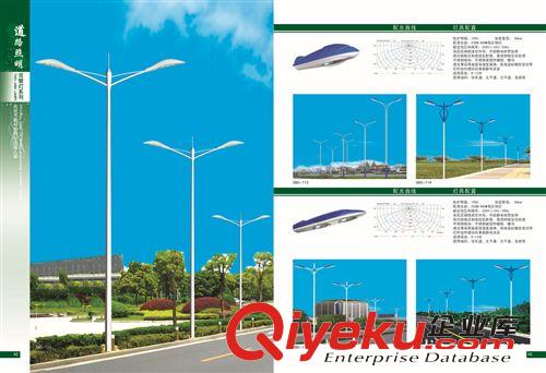 廠家直銷雙臂燈 LED太陽能道路照明燈  道路燈 高郵路燈原始圖片2