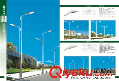 低價供應各種 道路照明燈250W  道路燈  款式新穎原始圖片2