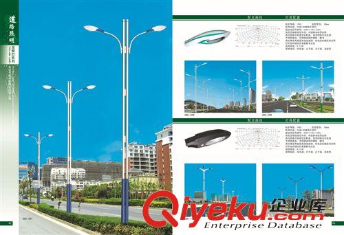 低價供應各種 道路照明燈250W  道路燈  款式新穎