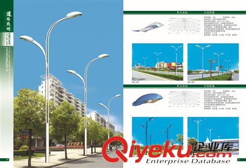 低價供應(yīng)各種雙臂路燈 道路照明燈路燈 太陽能道路照明燈