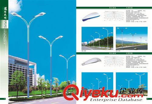 低價供應(yīng)各種雙臂路燈 道路照明燈路燈 太陽能道路照明燈原始圖片2