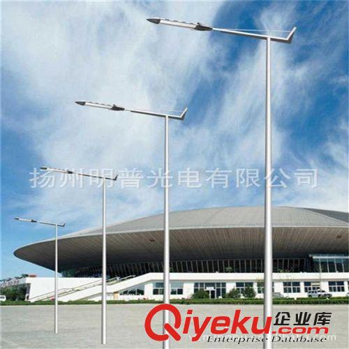 廠家批發(fā)3米庭院燈 小區(qū)LED路燈公園廣場燈戶外園林景觀燈