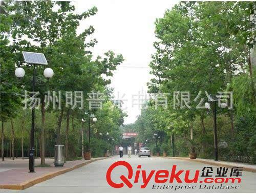 廠家批發(fā)3米庭院燈 小區(qū)LED路燈公園廣場燈戶外園林景觀燈