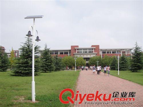 廠家批發(fā)太陽能庭院燈 戶外景觀燈公園廣場燈小區(qū)LED路燈