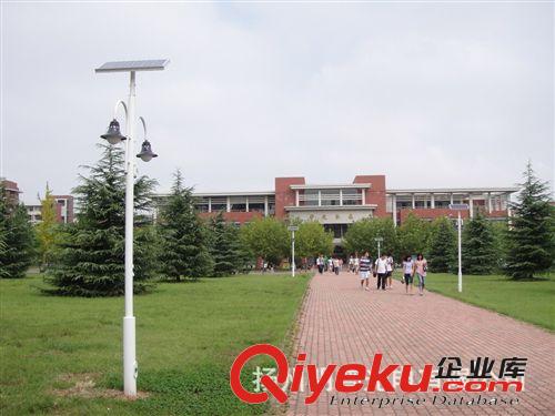 廠家批發(fā)景觀燈 3米3.5米戶外庭院燈園林景觀燈小區(qū)廣場(chǎng)LED路燈原始圖片3