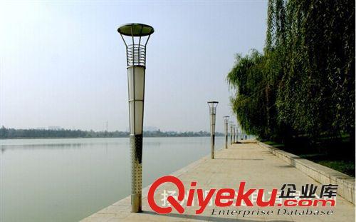 廠家批發(fā)LED景觀燈 室外花園別墅燈小區(qū)庭院燈景觀燈戶外防水燈原始圖片2