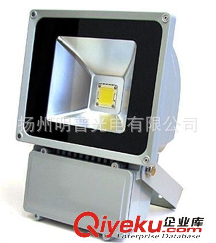 廠家直銷新款50W集成式LED投光燈 高亮低耗戶外泛光燈zyjl原始圖片2
