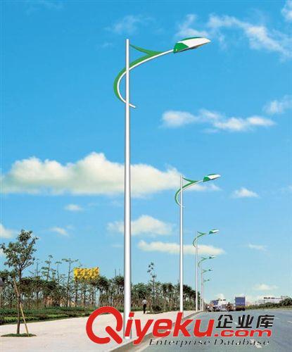 [廠家直銷(xiāo)]　推廣海南南沙道路照明路燈、6-12米太陽(yáng)能路燈