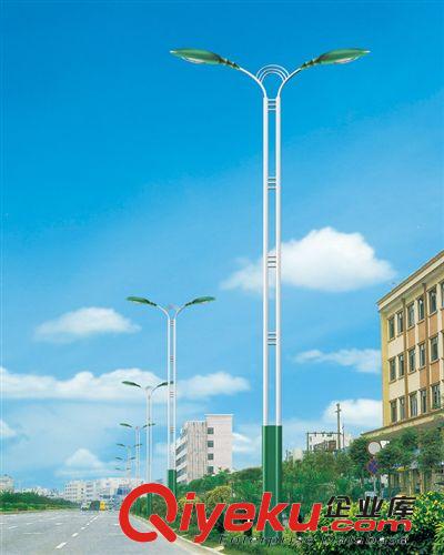 [廠家、低價、供應]烏蘭巴托各種款式的新農村建設道路路燈
