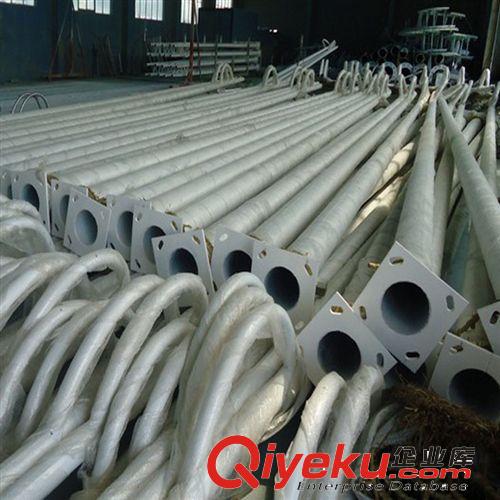 路燈燈桿廠家/優(yōu)質路燈燈具及燈桿，好燈桿廠原始圖片3