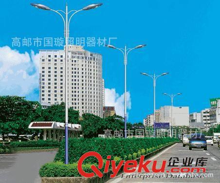 供應(yīng)雙臂路燈 路燈價(jià)格 路燈生產(chǎn)廠家 放心購(gòu)買(mǎi) 產(chǎn)品地道
