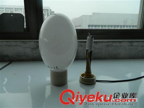 蘇威牌電磁無(wú)極熒光燈，橄欖形高頻無(wú)極燈原始圖片3