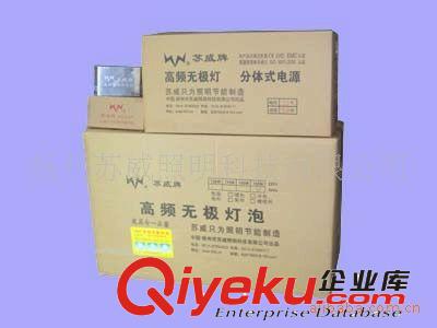 無極燈電子鎮流器 電源 整流器 220V40W-200W品種齊全質保5年原始圖片3