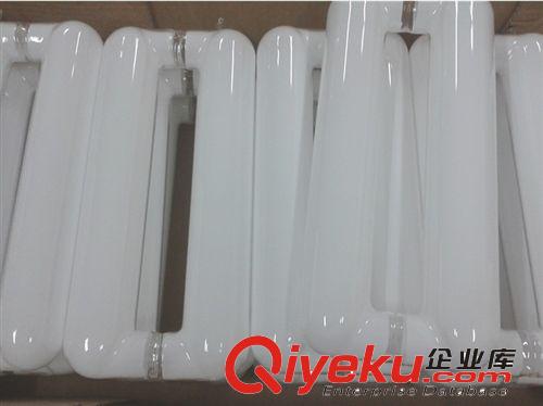 供應(yīng)迅雷牌直流環(huán)形燈、矩形低頻無極燈、球形低頻頻無極燈原始圖片3