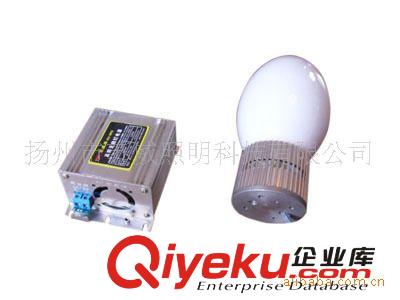 供應迅雷牌：XLGP系列“220V交流”30W，40W（橄欖泡）