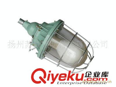蘇威牌圓形防爆、無極燈防爆燈、一體式防爆燈原始圖片2
