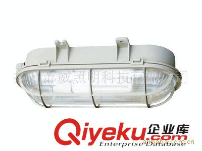 蘇威牌吸壁式四防燈，三方燈具