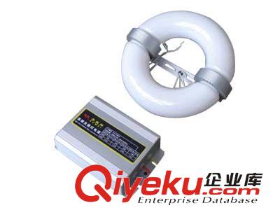 供應LVD-GC12111高懸燈、無極燈工廠吊燈、酒廠燈具原始圖片3
