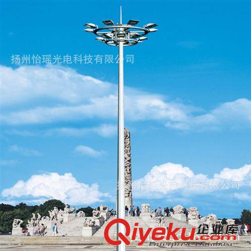廠家直銷LED道路照明燈 專業(yè)生產(chǎn) 燈具加工 高桿燈原始圖片2