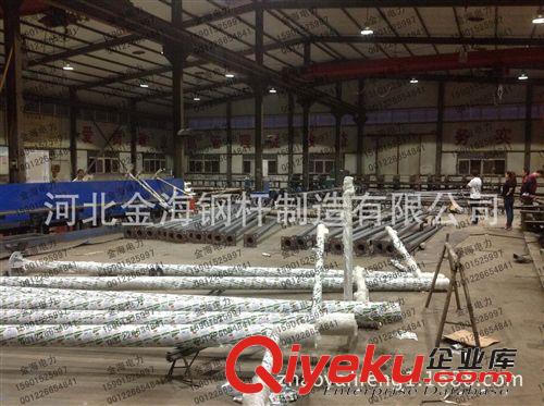 金海攝像機立桿 監控桿 LED路燈 戶外燈具