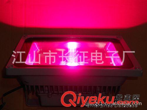 LED植物補光燈 補光LED植物燈 大棚植物補光燈 蔬菜補光燈