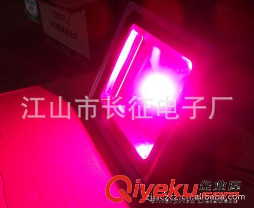 LED紅光投光燈、綠光投光燈、黃光LED投光燈、藍光投光LED燈