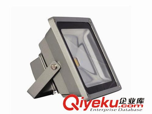 供應(yīng)LED 投光燈 集成投光燈 20W 投光燈 大功率投光燈 有CE證書(shū)