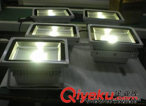 供應(yīng)LED 投光燈 集成投光燈 10W 投光燈 大功率投光 有CE證書