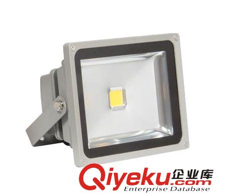 LED投光燈集成投光燈50W 投光燈大功率投光燈 有CE認證