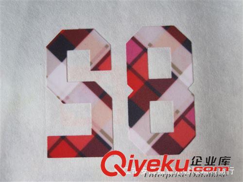 植絨燙畫 數(shù)字號(hào)碼熱轉(zhuǎn)移印花植絨服裝燙畫原始圖片2