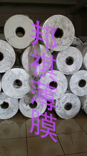 東莞市邦祺電工材料有限公司 PET膜.霧狀PET.透明PET.高透明PET薄膜