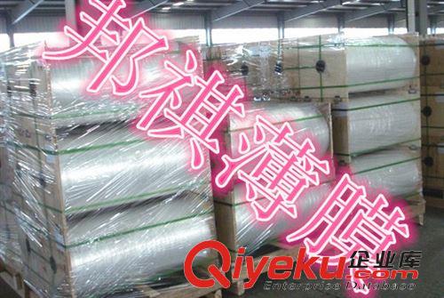 PET鍍鋁膜、白反射膜、反光膜、增光膜 供應0.075硅油膜.離型膜.離形膜.單硅油膜原始圖片3