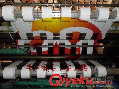 訂購(gòu)熱線：0769-81195498 供應(yīng)白色PET膜/PET/薄膜/PET薄膜/白色膜原始圖片3