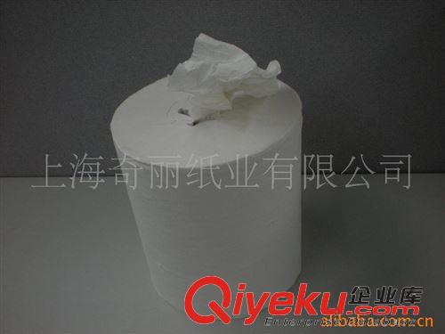 其他工業(yè)用紙 奇麗MINI小卷擦拭布，工業(yè)擦拭紙，無塵紙無塵布