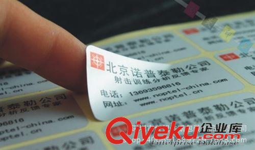 不干膠標簽 深圳啞銀龍不干膠標簽/透明不干膠定做不干膠標簽貼紙