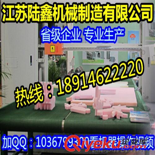 全自動(dòng)裁斷機(jī) 全自動(dòng)送料帶子整板沖切裁斷機(jī) 下料機(jī)【質(zhì)量{dy} 質(zhì)保三年】原始圖片2