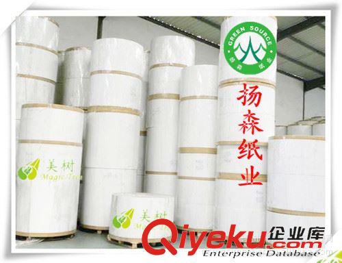 白板紙 涂布白板 550g涂布白板紙 印刷白板紙?jiān)紙D片3