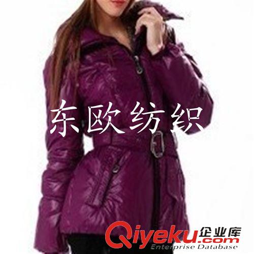 羽絨服面料（尼龍面料） 廠家常年生產(chǎn)  各種超薄羽絨服面料 壓光面料 涂層面料等服裝面料