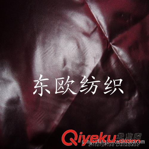 羽絨服面料（尼龍面料） 廠家直銷 gd面料 尼絲紡面料等各種服裝家紡面料原始圖片3