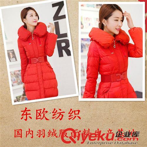 羽絨服面料（尼龍面料） 廠家常年生產 各種新款超薄高密羽絨服面料